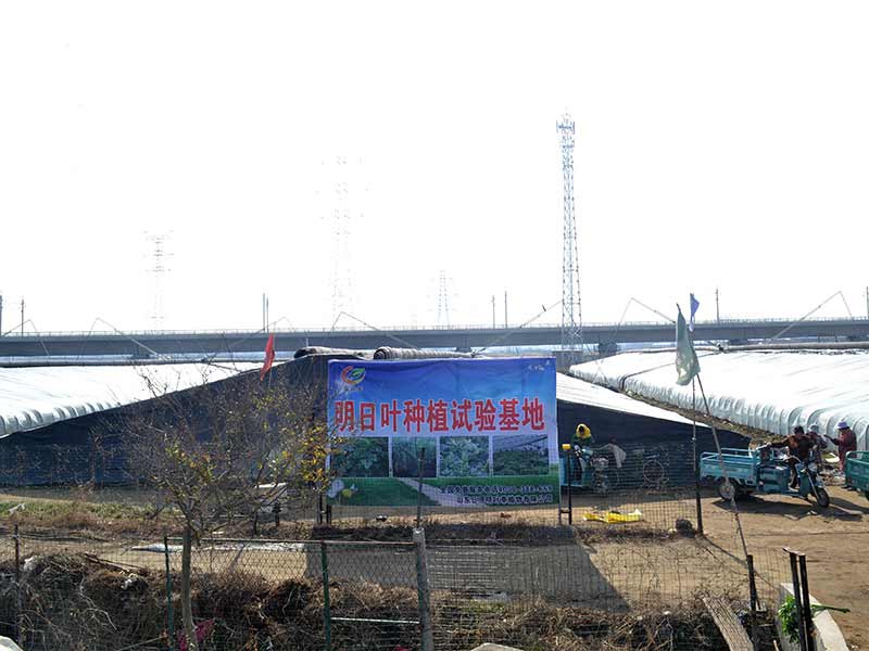 种植基地